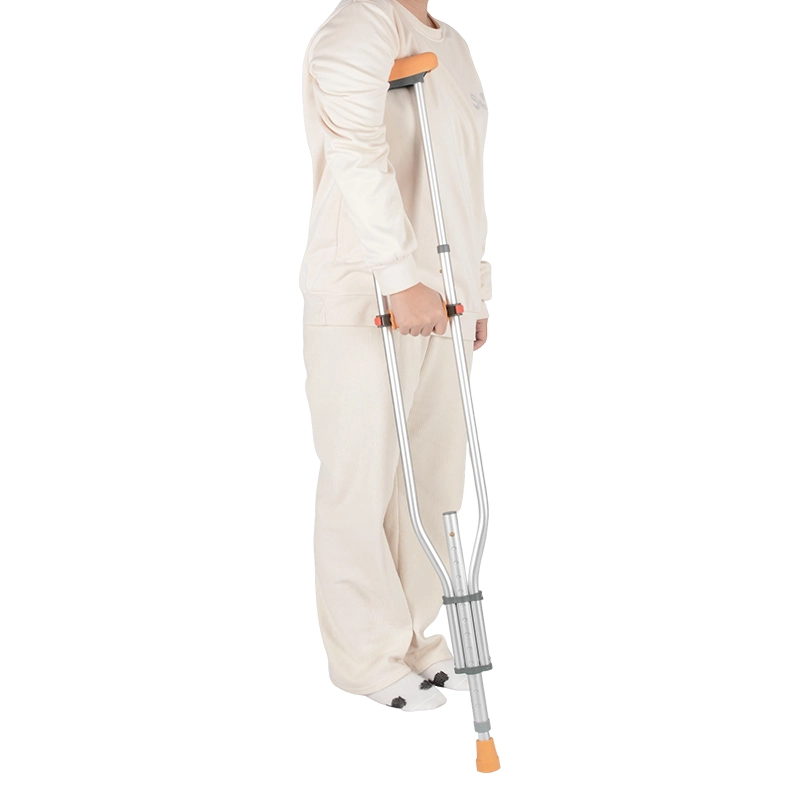 Walking Stick